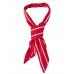Chef's Scarf