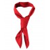Chef's Scarf
